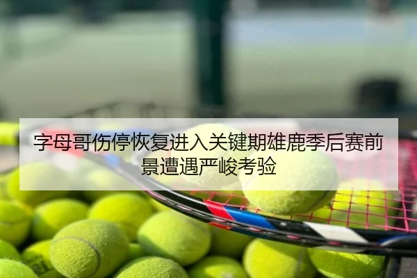 字母哥伤停恢复进入关键期雄鹿季后赛前景遭遇严峻考验