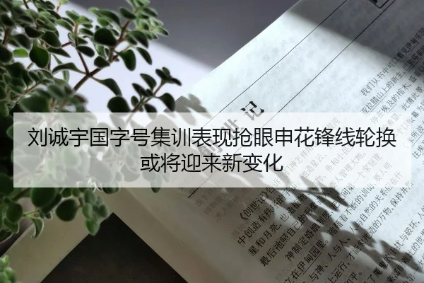 刘诚宇国字号集训表现抢眼申花锋线轮换或将迎来新变化